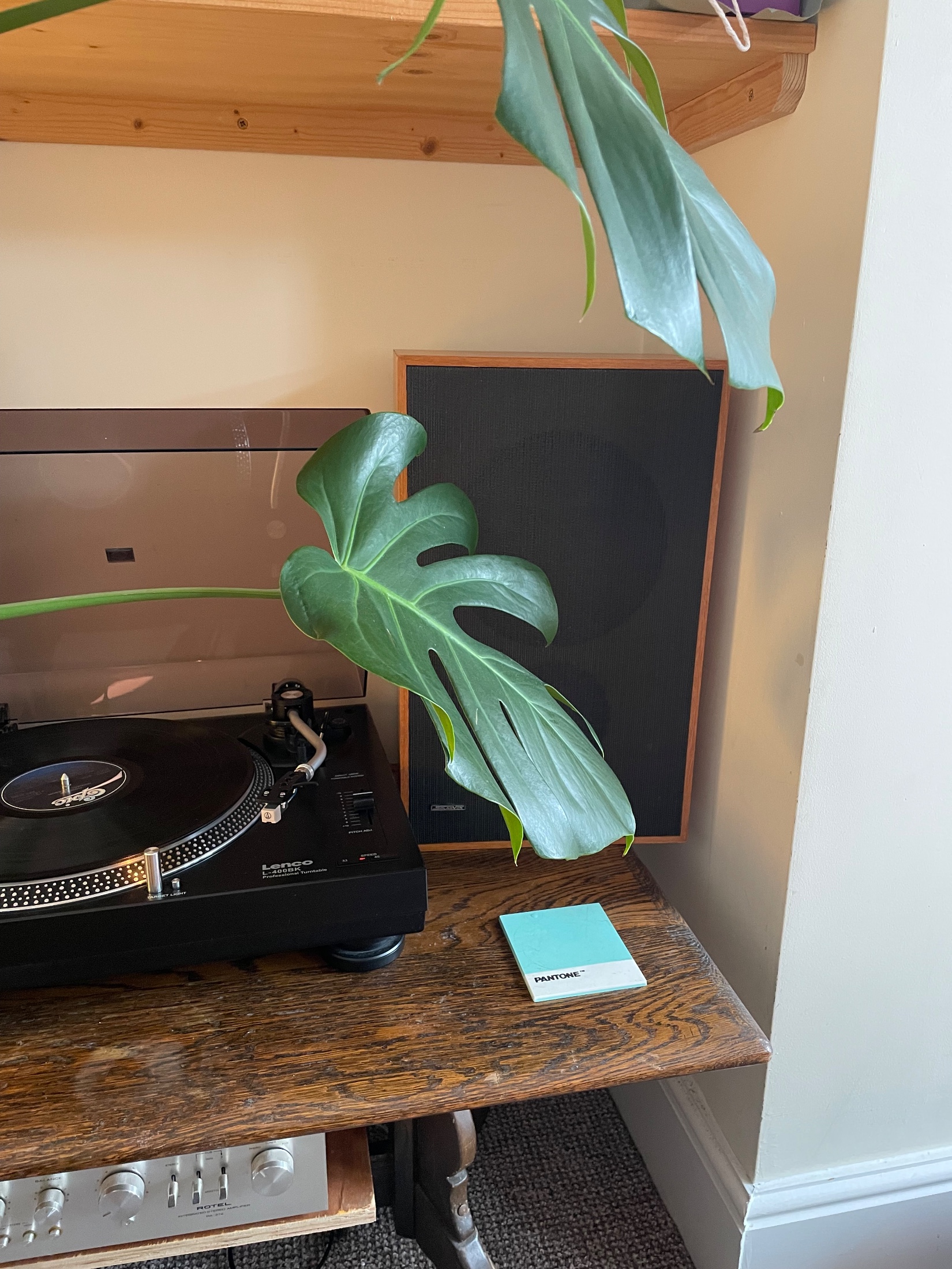 Setup photo thumbnail
