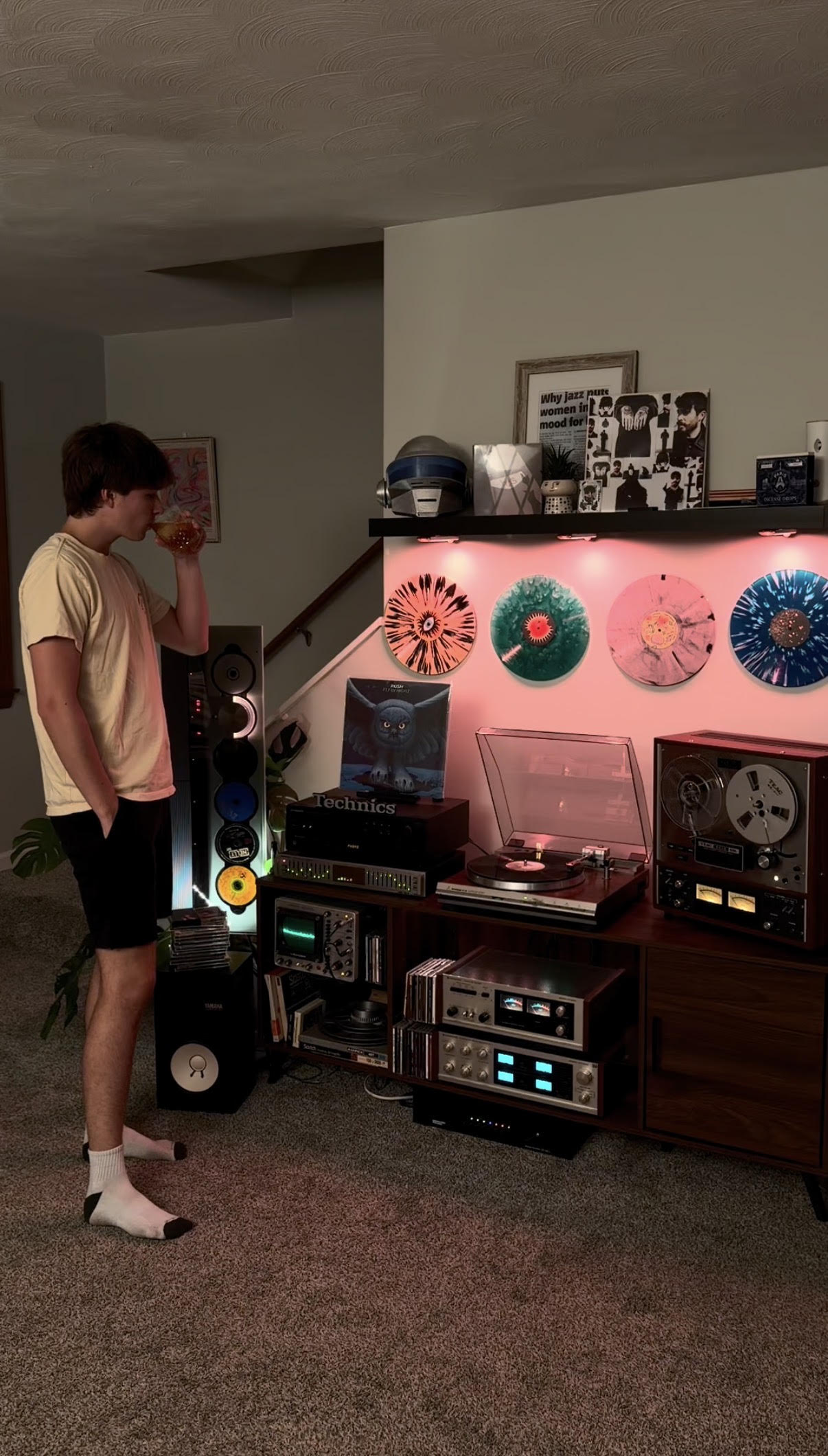 Wild's Stereo System cover