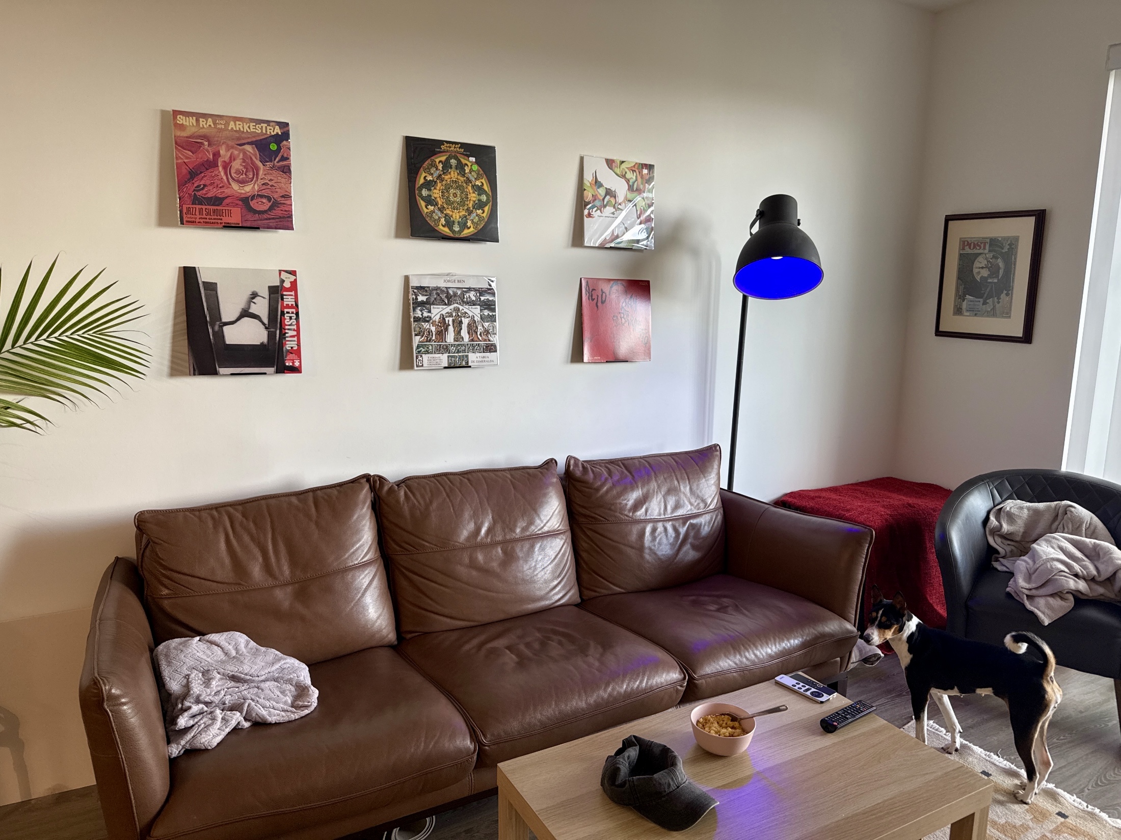 Setup photo thumbnail