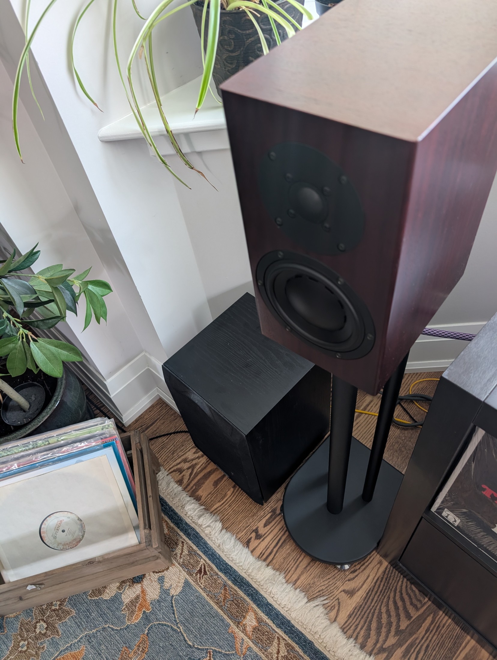 Setup photo thumbnail