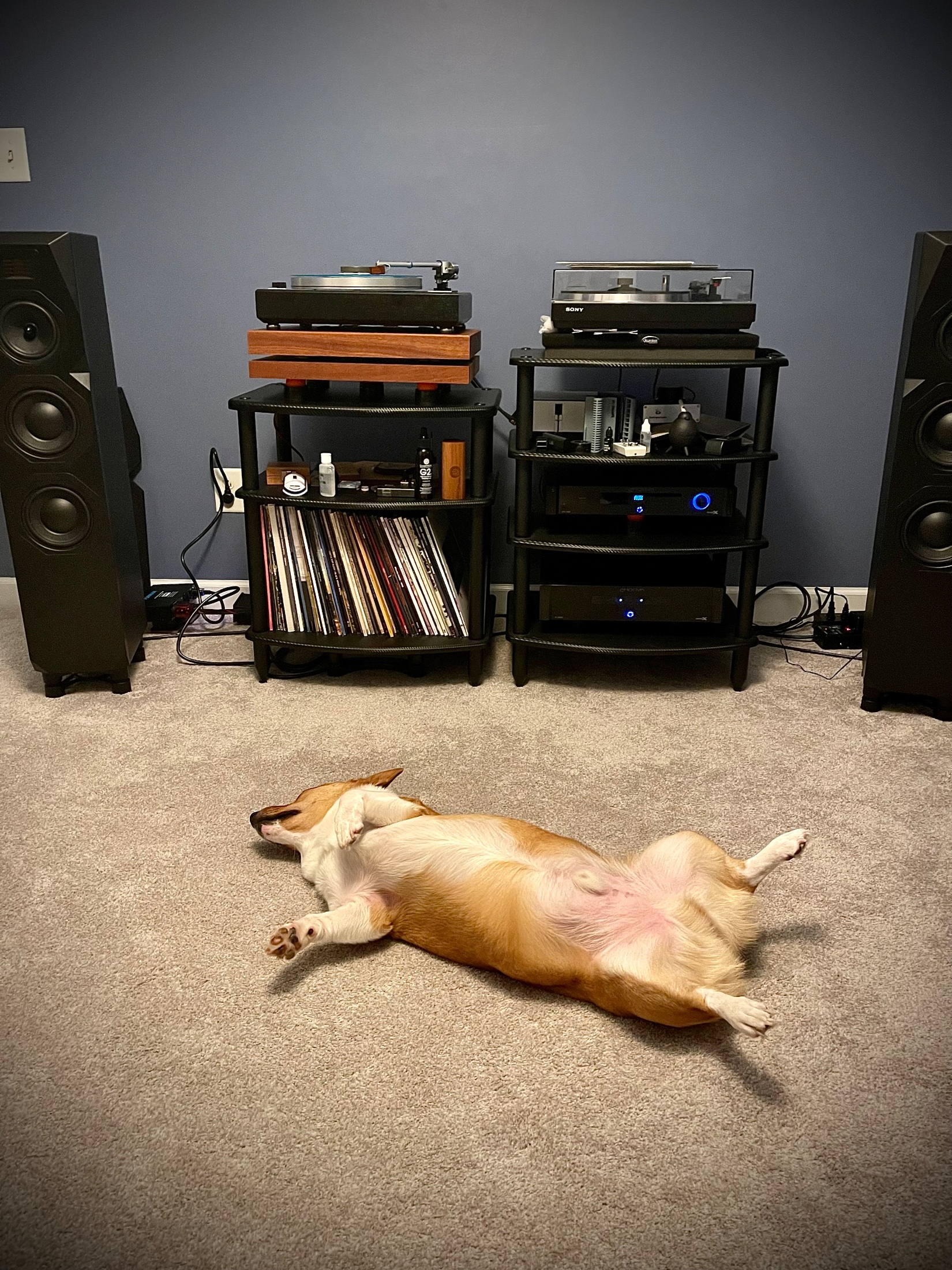 Music Room