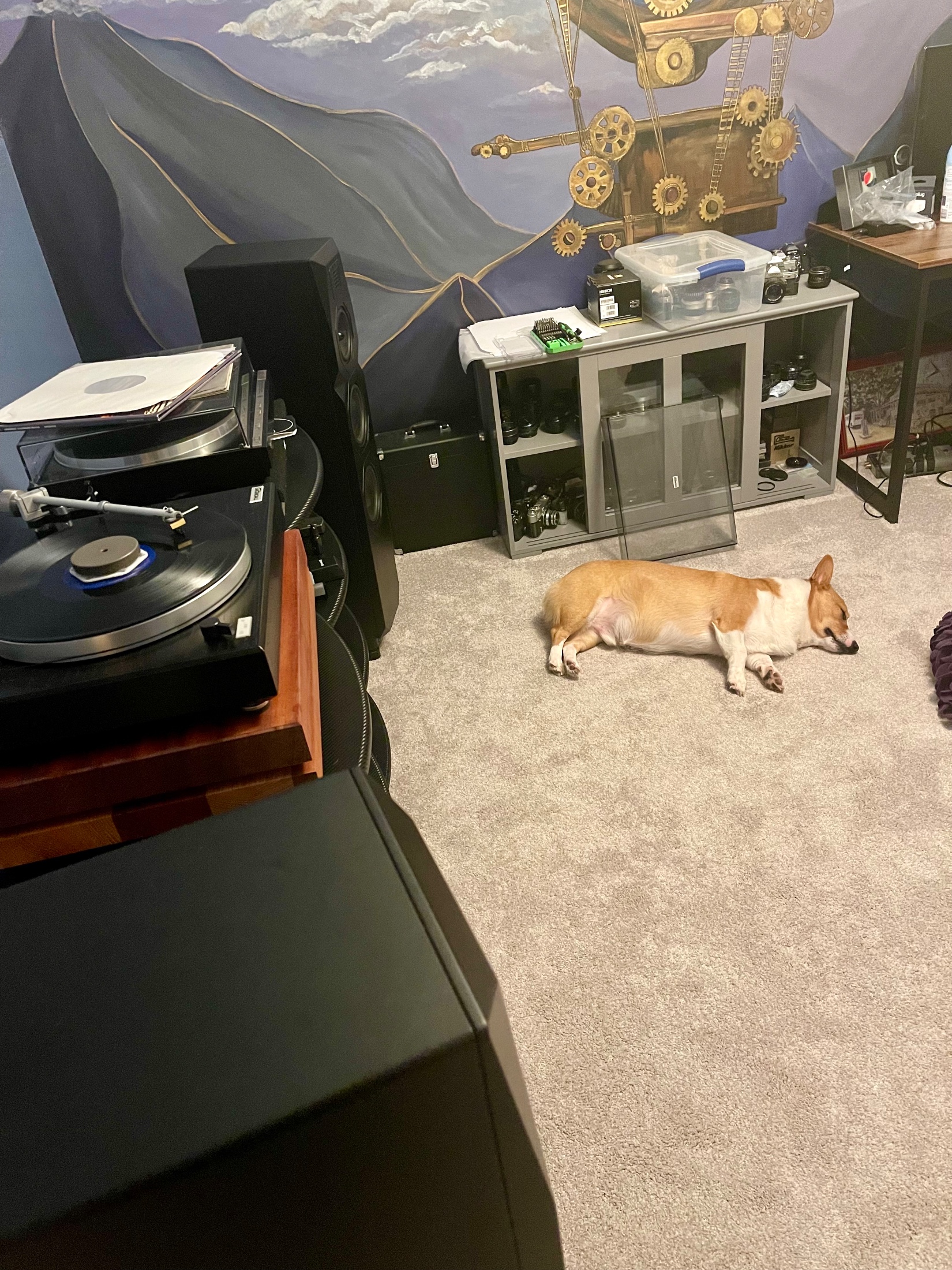 Setup photo thumbnail