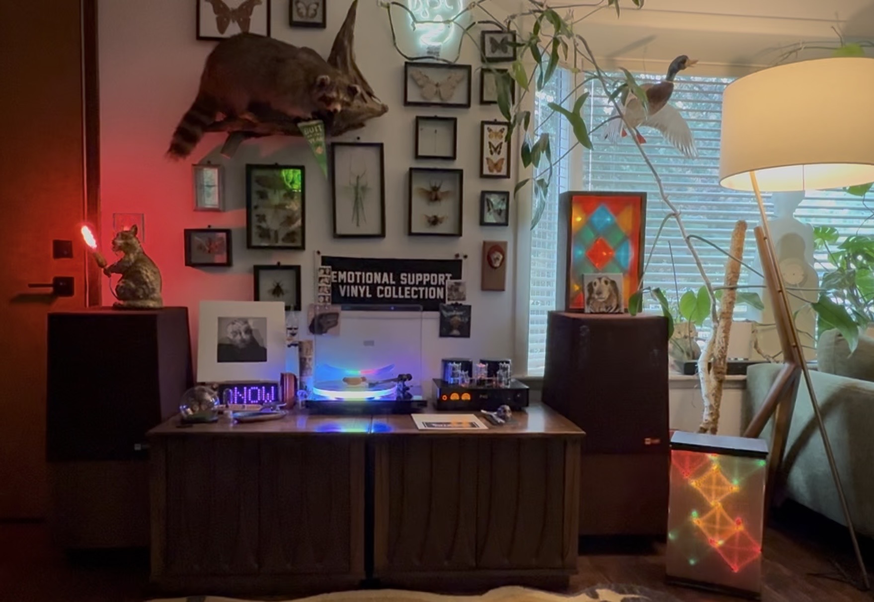 Setup cover