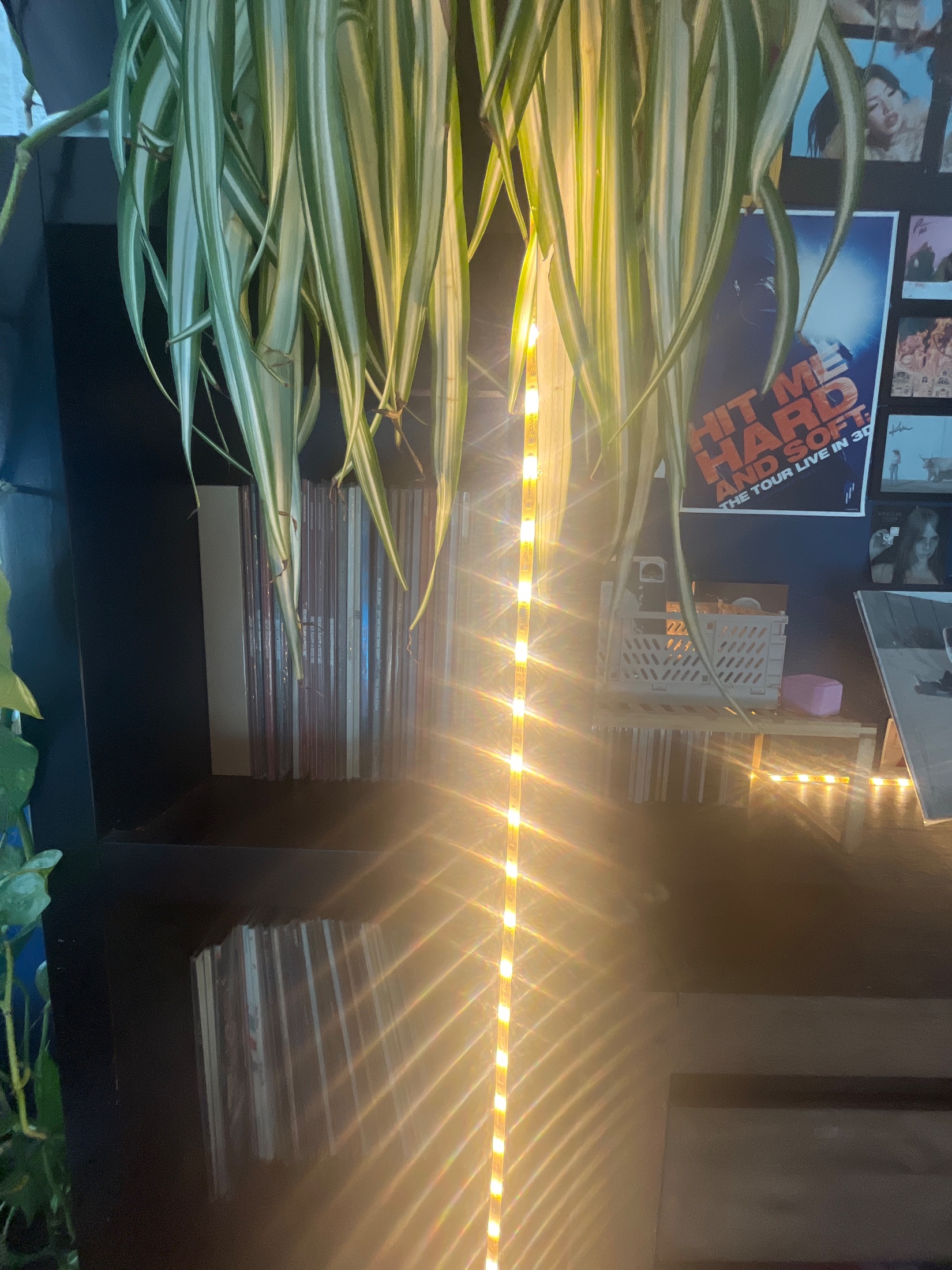 Setup photo thumbnail
