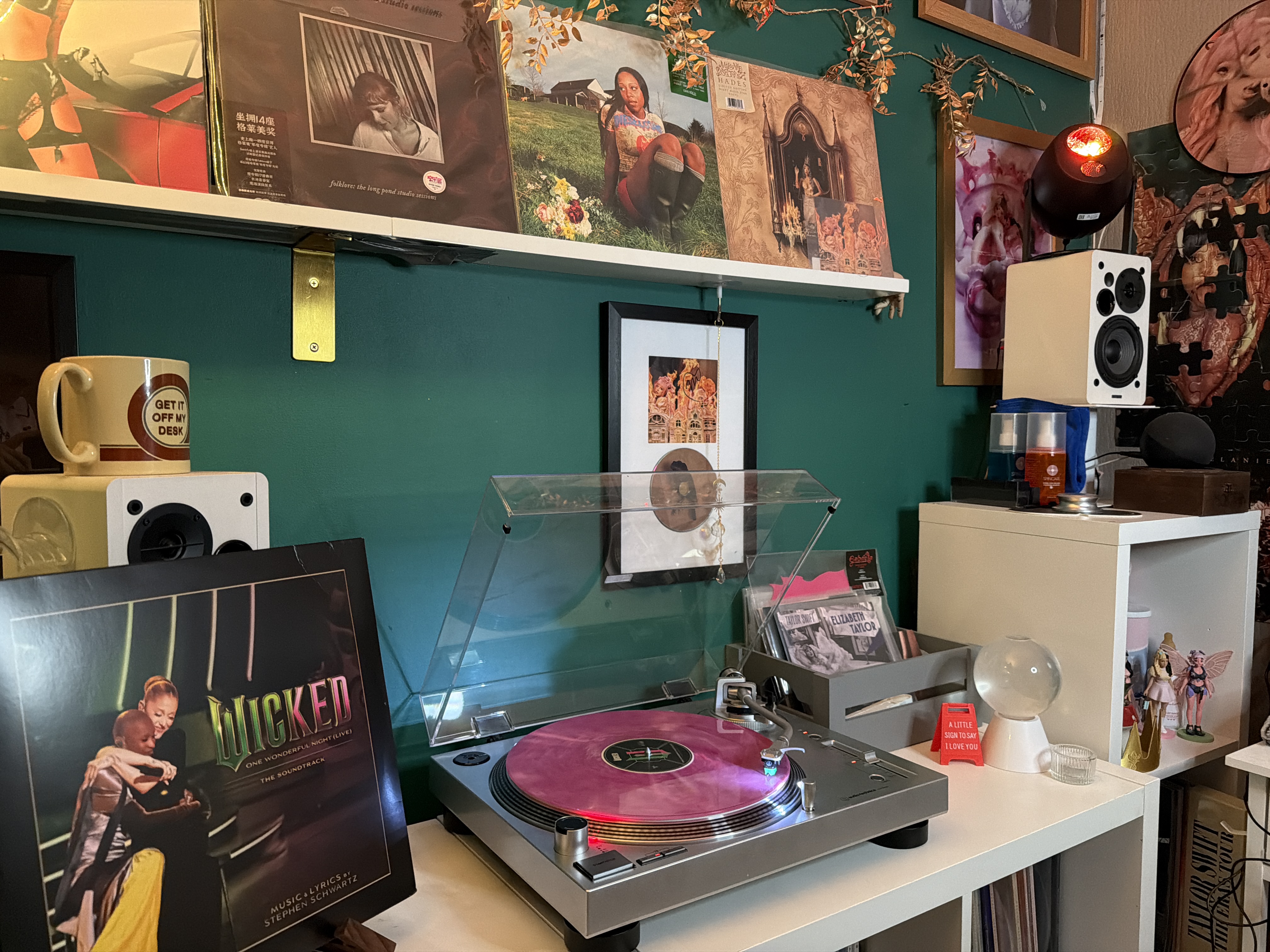 Leesvinylshelf Setup cover