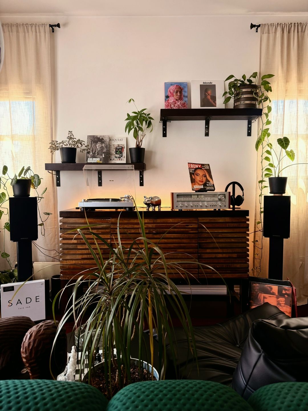 Vinyl setup