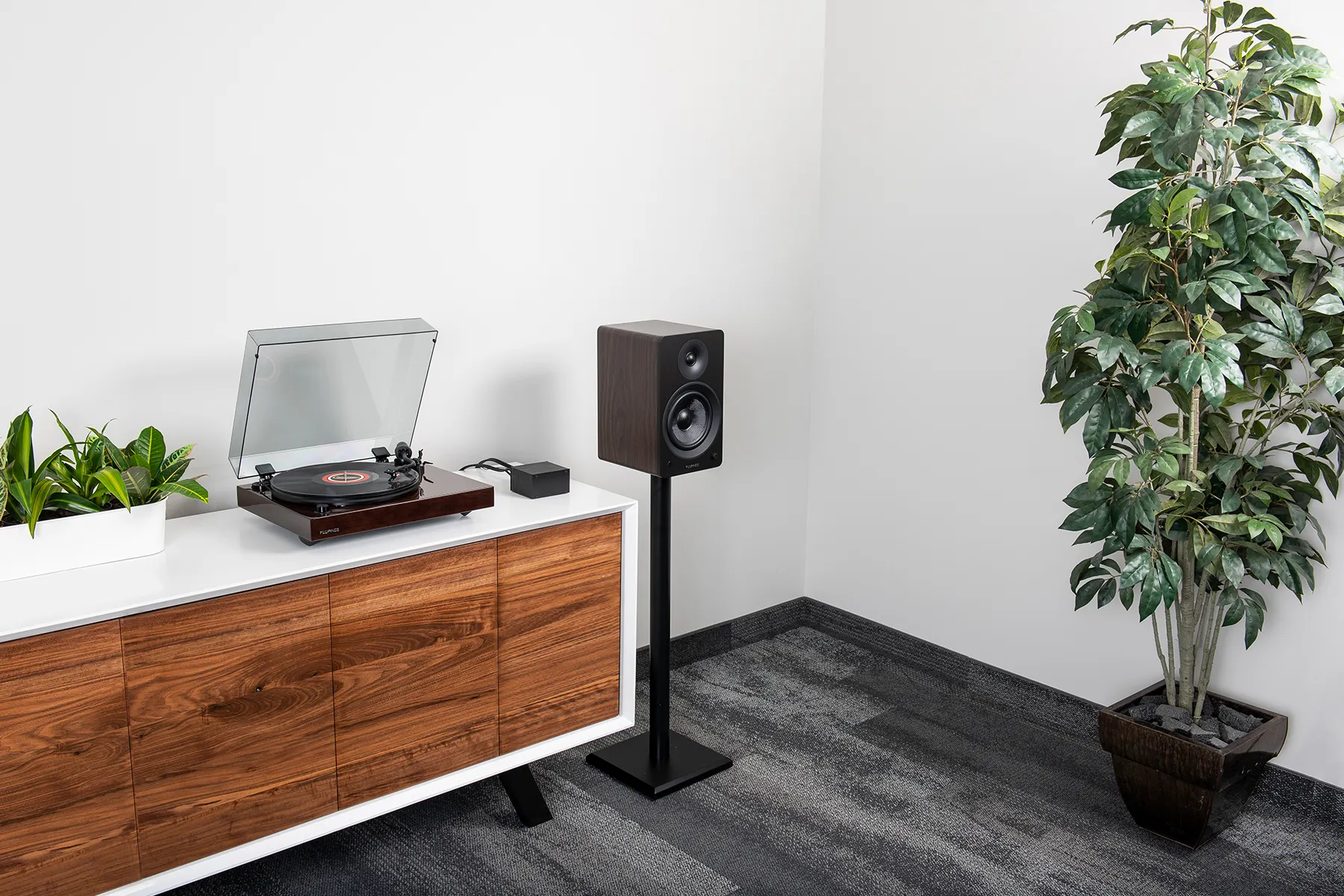 Elevated Audiophile's Den cover