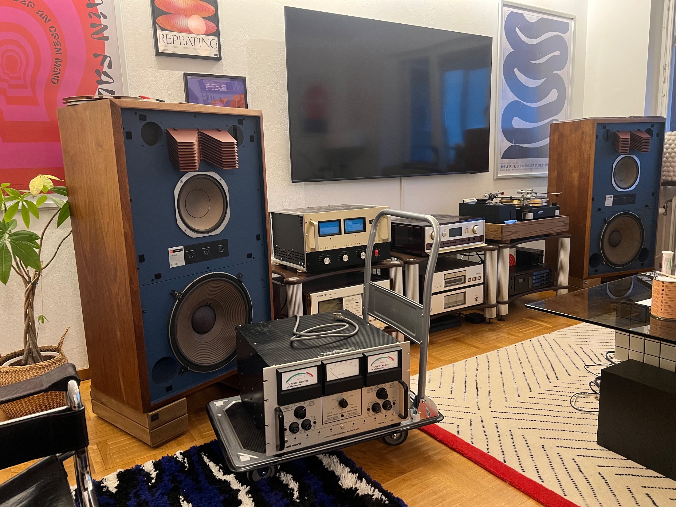 Vinyl setup