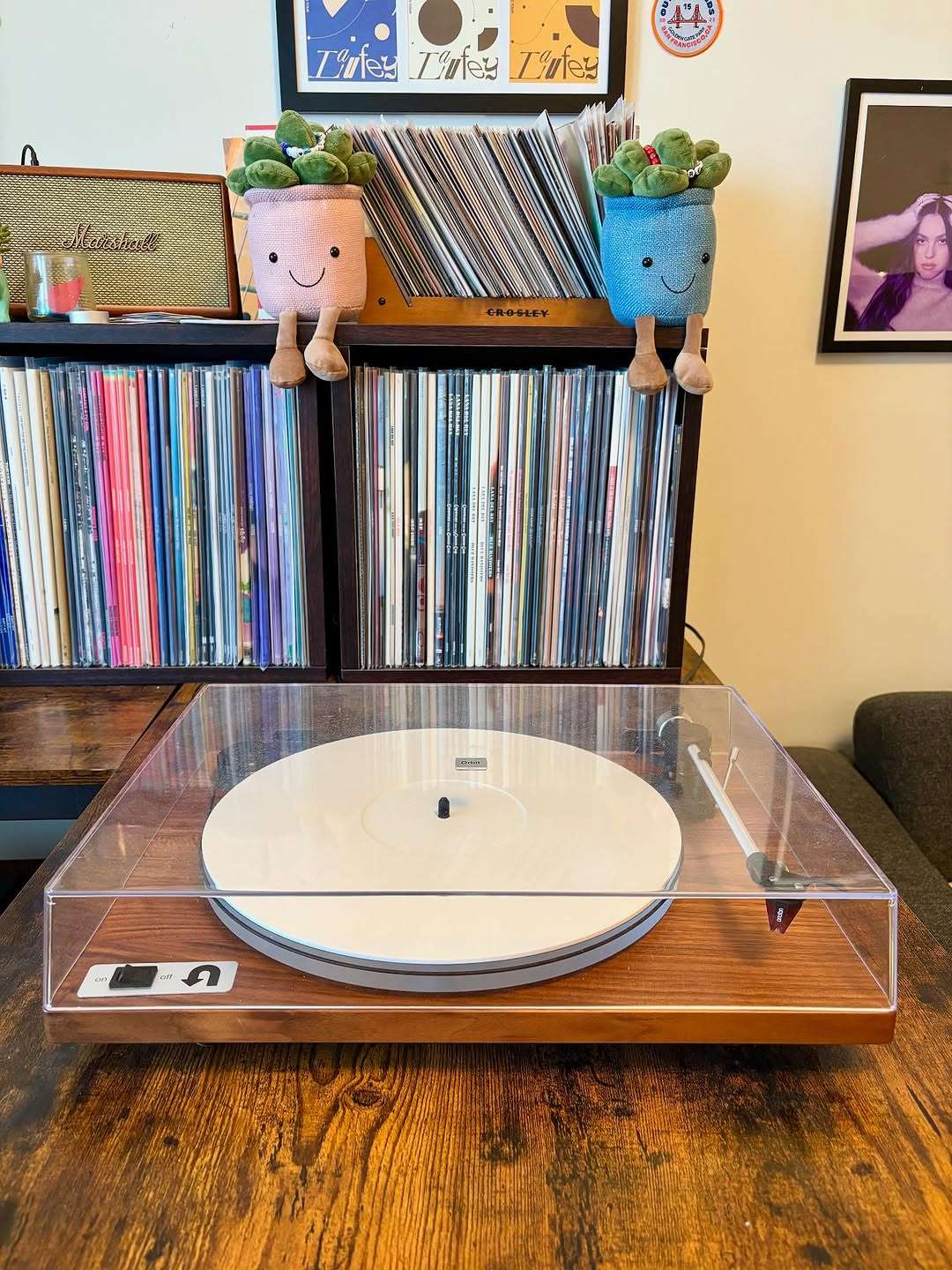 Natali’s Vinyl Setup cover